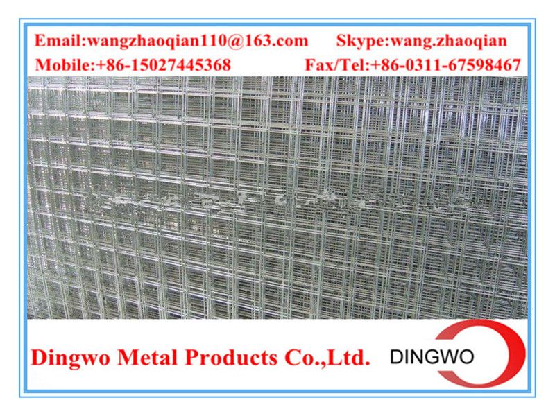 Galvanized welded wire mesh panels -dingwo factory
