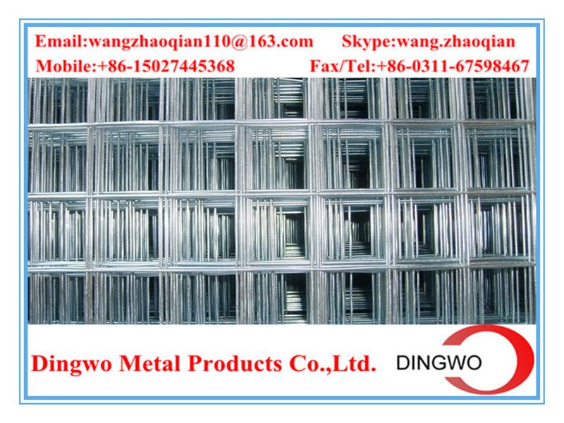 galvanized welded wire mesh/PVC coated welded wire mesh/welded wire mesh panel