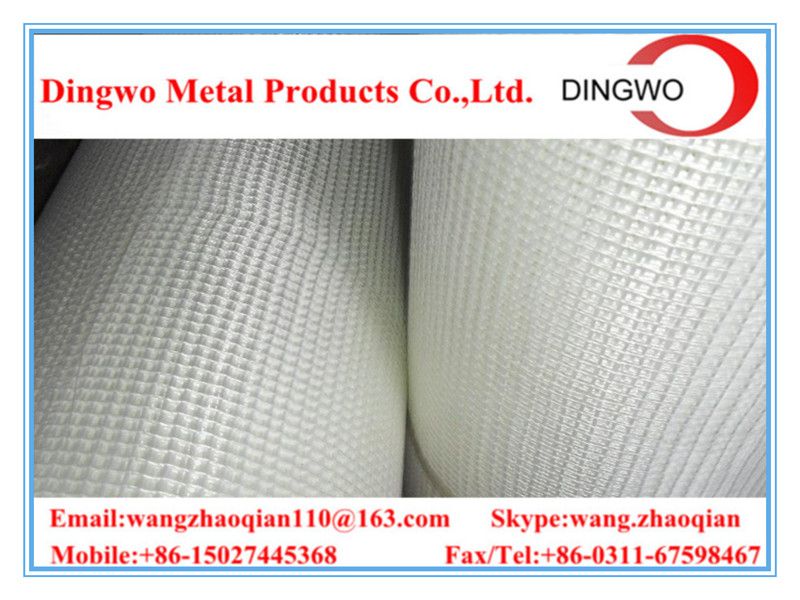 Glassfiber mesh cloth ( FACTOYR 