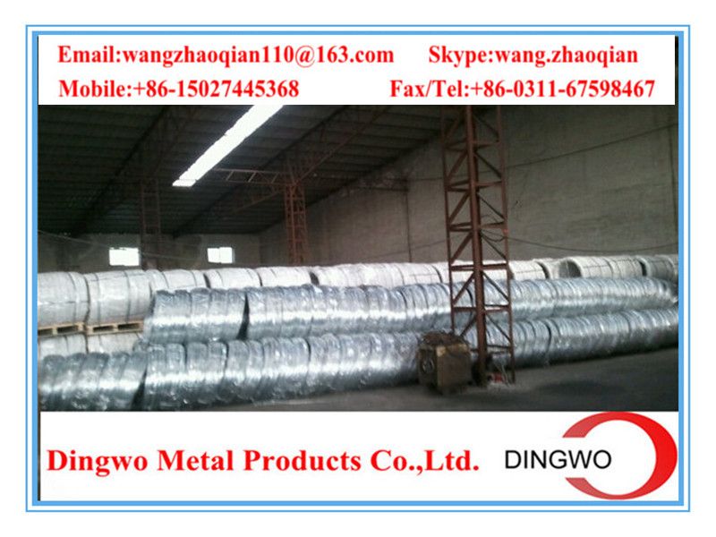 Galvanized iron wire/galvanized  wire/electrio galvanized wire/hot dip galvanized wire