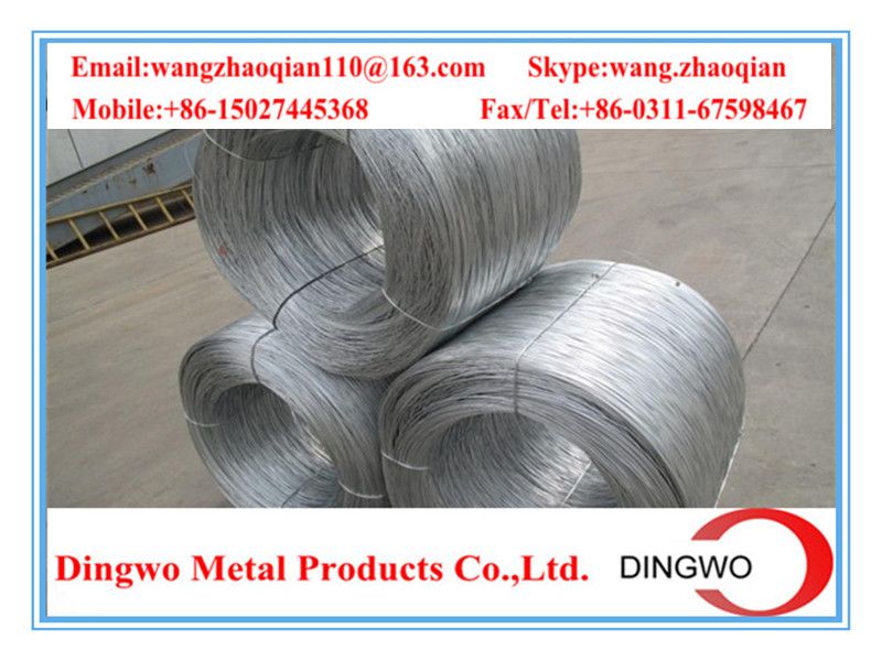 Galvanized iron wire/galvanized steel wire/electrio galvanized wire/hot dip galvanized wire