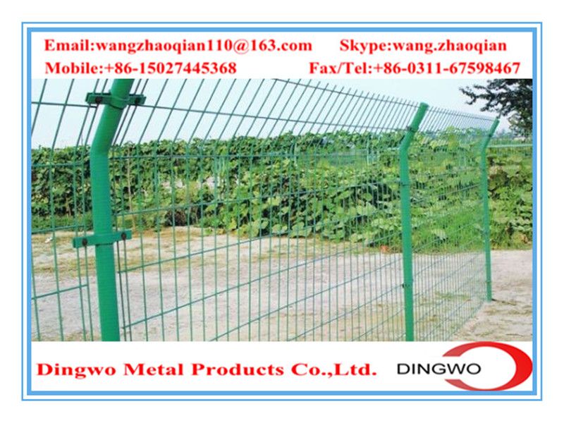 bending triangular wire mesh courtyard/landscaping fence  wire mesh fence,fence panels,welded metal fence ,welded metal mesh,gate fence,pets fence,pet cages,temporary fence,road fence,highway fence,residential fence,garden fence supplier&manufacture