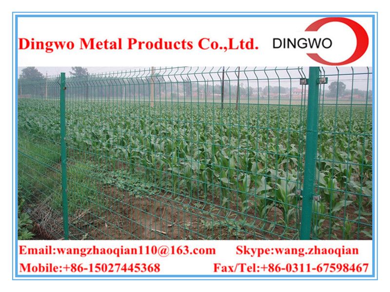 bending triangular wire mesh courtyard/landscaping fence  wire mesh fence,fence panels,welded metal fence ,welded metal mesh,gate fence,pets fence,pet cages,temporary fence,road fence,highway fence,residential fence,garden fence supplier&manufacture