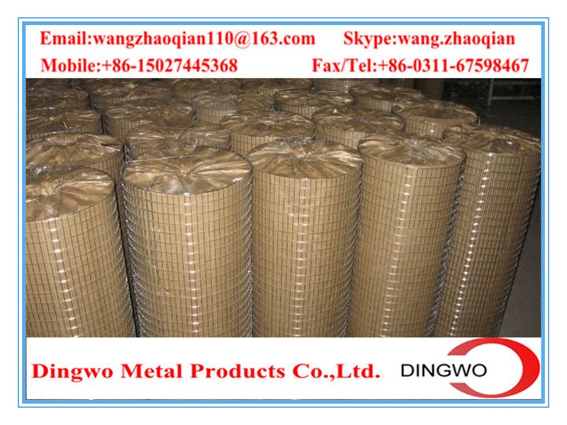 Welded Wire Mesh , weld mesh, welded mesh, galvanized welded wire mesh, stainless steel wire mesh, pvc coated welded wire mesh, wire mesh panles, welded wire mesh rolls