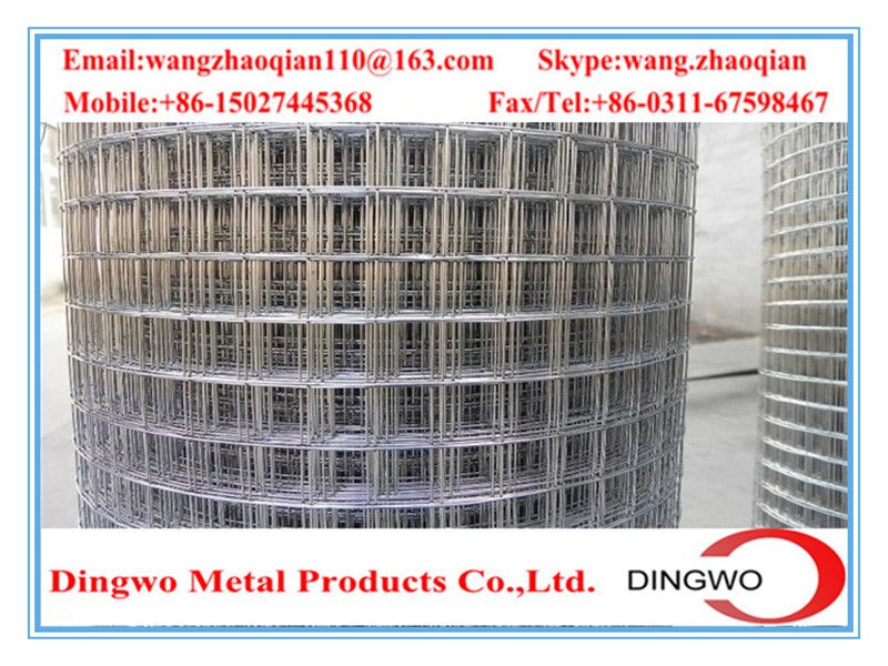 Welded Wire Mesh , weld mesh, welded mesh, galvanized welded wire mesh, stainless steel wire mesh, pvc coated welded wire mesh, wire mesh panles, welded wire mesh rolls