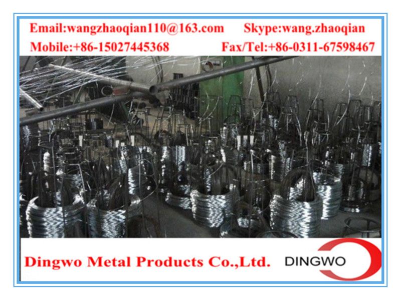 Welded Wire Mesh , weld mesh, welded mesh, galvanized welded wire mesh, stainless steel wire mesh, pvc coated welded wire mesh, wire mesh panles, welded wire mesh rolls