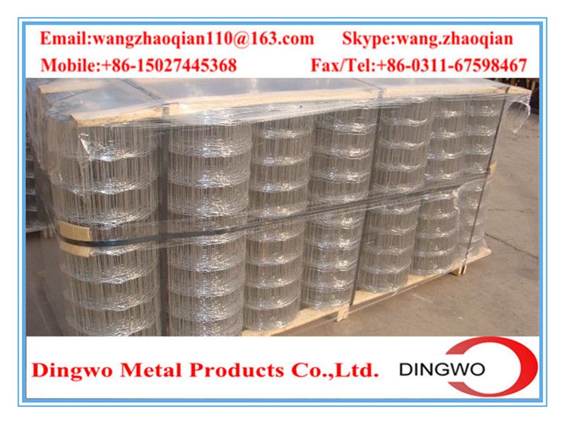 Welded Wire Mesh , weld mesh, welded mesh, galvanized welded wire mesh, stainless steel wire mesh, pvc coated welded wire mesh, wire mesh panles, welded wire mesh rolls