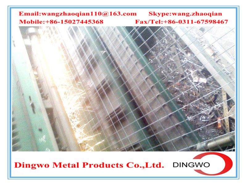 Welded Wire Mesh , weld mesh, welded mesh, galvanized welded wire mesh, stainless steel wire mesh, pvc coated welded wire mesh, wire mesh panles, welded wire mesh rolls