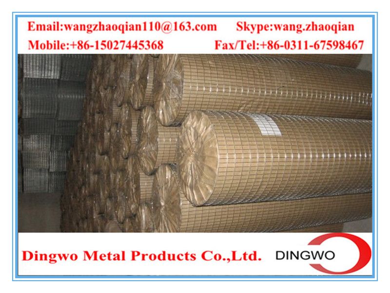 Welded Wire Mesh , weld mesh, welded mesh, galvanized welded wire mesh, stainless steel wire mesh, pvc coated welded wire mesh, wire mesh panles, welded wire mesh rolls