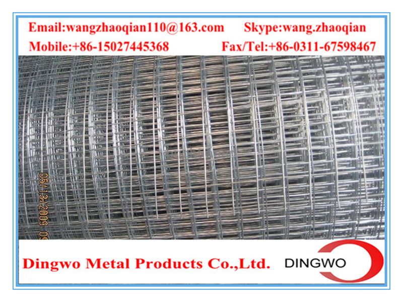 Welded Wire Mesh , weld mesh, welded mesh, galvanized welded wire mesh, stainless steel wire mesh, pvc coated welded wire mesh, wire mesh panles, welded wire mesh rolls