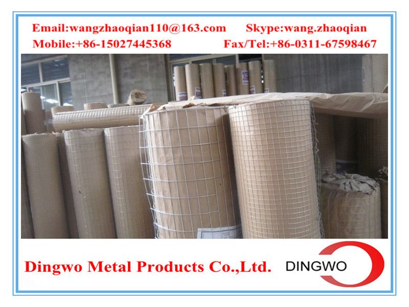 Welded Wire Mesh , weld mesh, welded mesh, galvanized welded wire mesh, stainless steel wire mesh, pvc coated welded wire mesh, wire mesh panles, welded wire mesh rolls