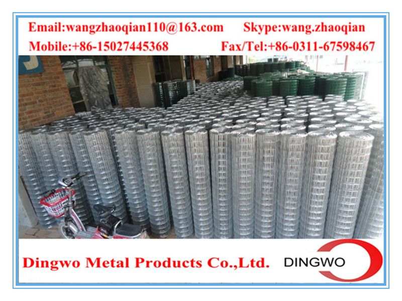 Welded Wire Mesh , weld mesh, welded mesh, galvanized welded wire mesh, stainless steel wire mesh, pvc coated welded wire mesh, wire mesh panles, welded wire mesh rolls