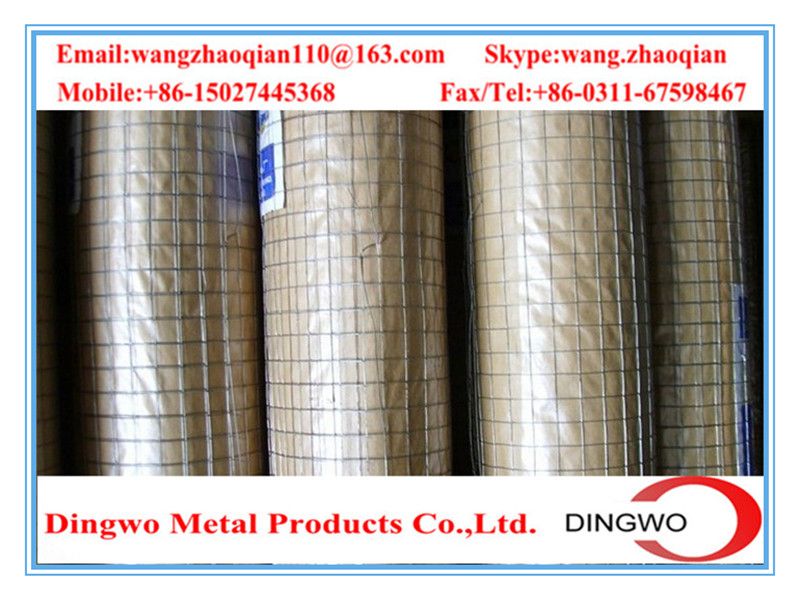 Welded Wire Mesh , weld mesh, welded mesh, galvanized welded wire mesh, stainless steel wire mesh, pvc coated welded wire mesh, wire mesh panles, welded wire mesh rolls