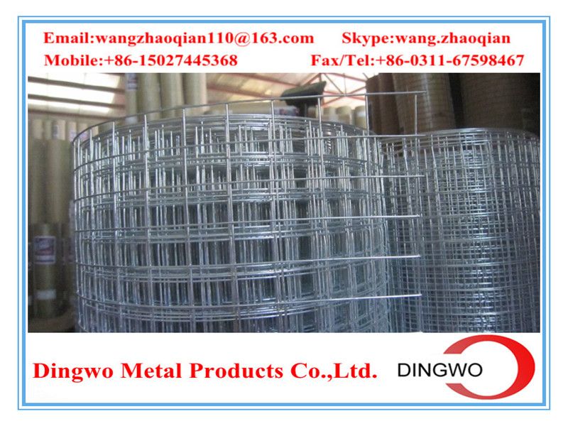 Welded Wire Mesh , weld mesh, welded mesh, galvanized welded wire mesh, stainless steel wire mesh, pvc coated welded wire mesh, wire mesh panles, welded wire mesh rolls