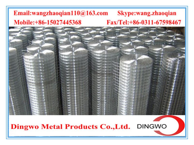 Welded Wire Mesh , weld mesh, welded mesh, galvanized welded wire mesh, stainless steel wire mesh, pvc coated welded wire mesh, wire mesh panles, welded wire mesh rolls