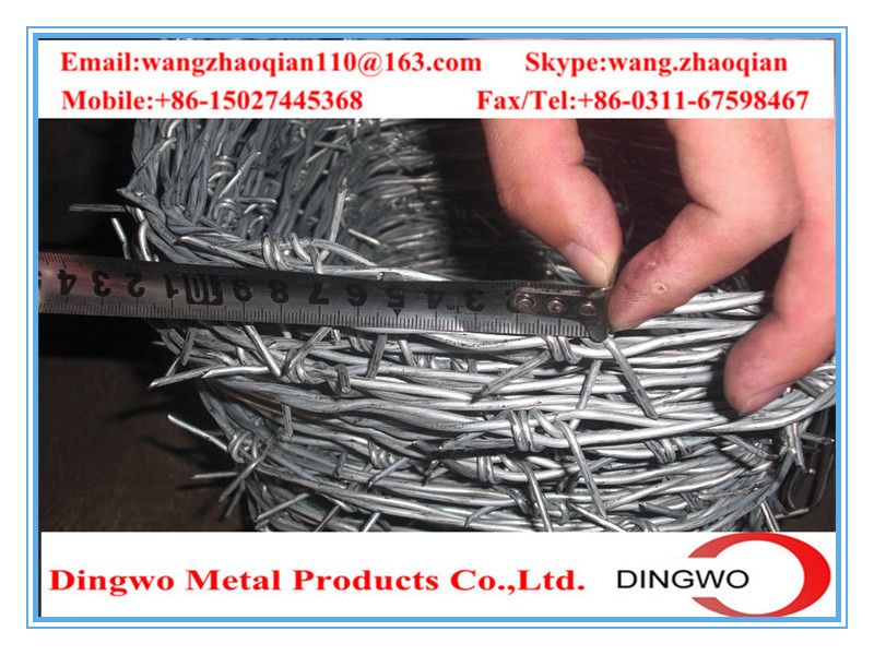 galvanized barbed wire,pvc coated wire,electrial galvanized galvanized wire,razor barbed wire,barbed razor wire