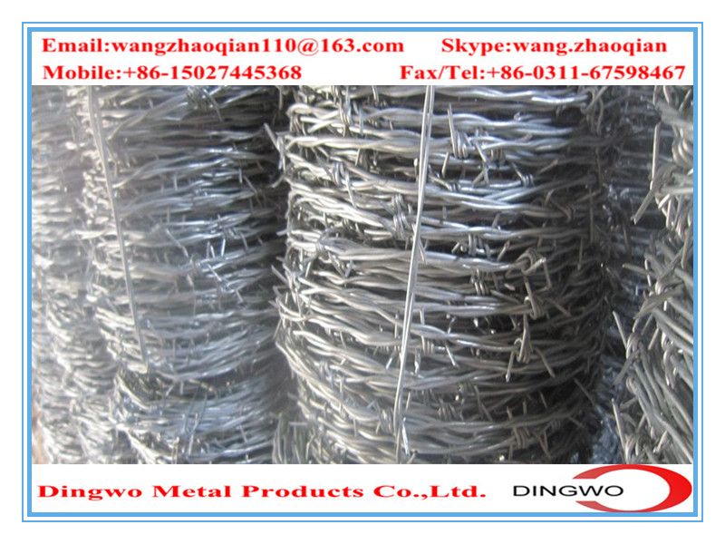 galvanized barbed wire,pvc coated wire,electrial galvanized galvanized wire,razor barbed wire,barbed razor wire