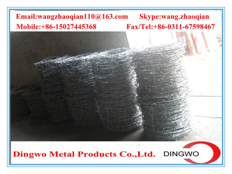 galvanized barbed wire,pvc coated wire,electrial galvanized galvanized wire,razor barbed wire,barbed razor wire