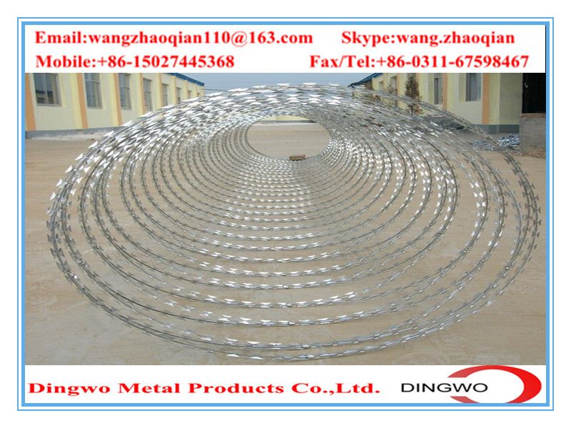 galvanized barbed wire,pvc coated wire,electrial galvanized galvanized wire,razor barbed wire,barbed razor wire