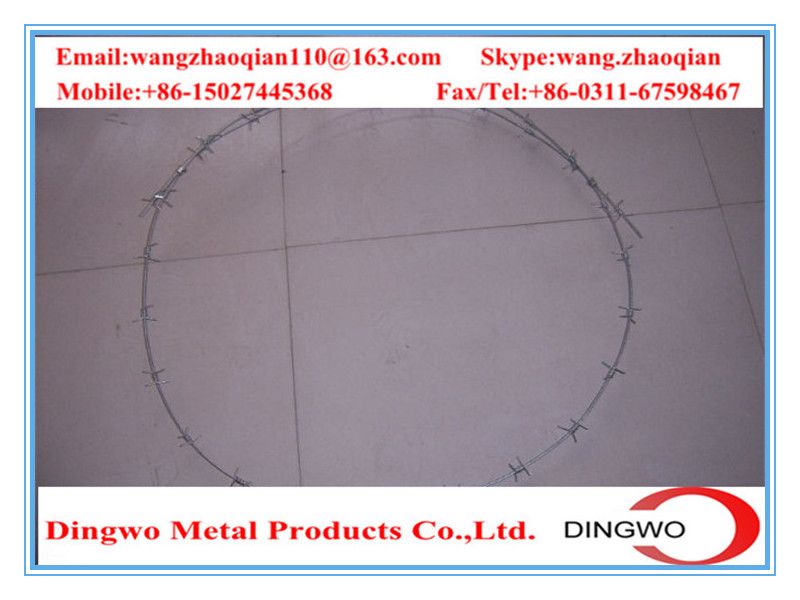 galvanized barbed wire,pvc coated wire,electrial galvanized galvanized wire,razor barbed wire,barbed razor wire