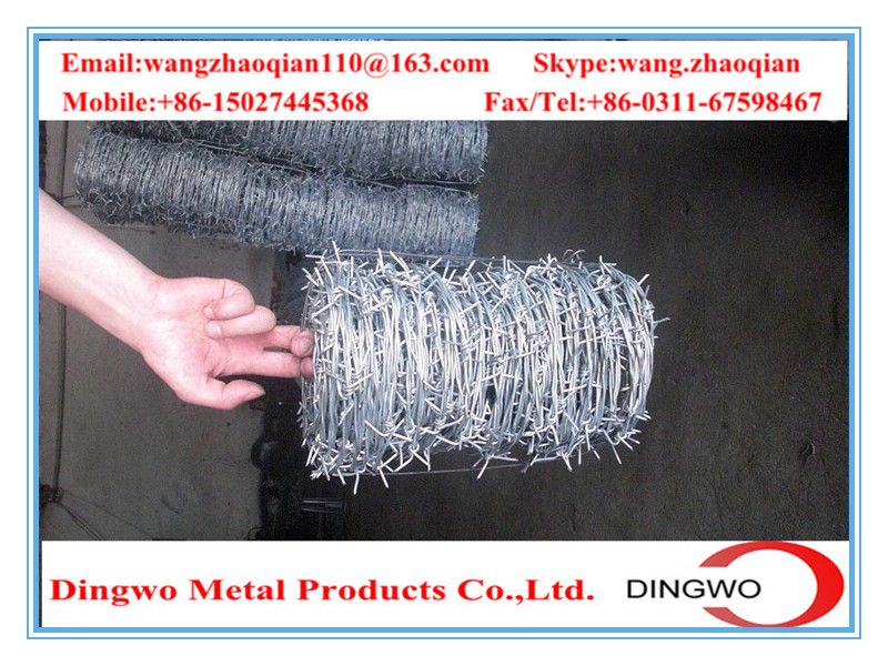 galvanized barbed wire,pvc coated wire,electrial galvanized galvanized wire,razor barbed wire,barbed razor wire