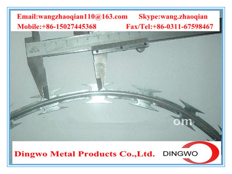 galvanized barbed wire,pvc coated wire,electrial galvanized galvanized wire,razor barbed wire,barbed razor wire