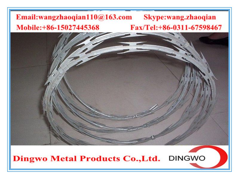 galvanized barbed wire,pvc coated wire,electrial galvanized galvanized wire,razor barbed wire,barbed razor wire