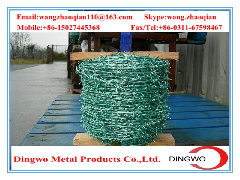 galvanized barbed wire,pvc coated wire,electrial galvanized galvanized wire,razor barbed wire,barbed razor wire