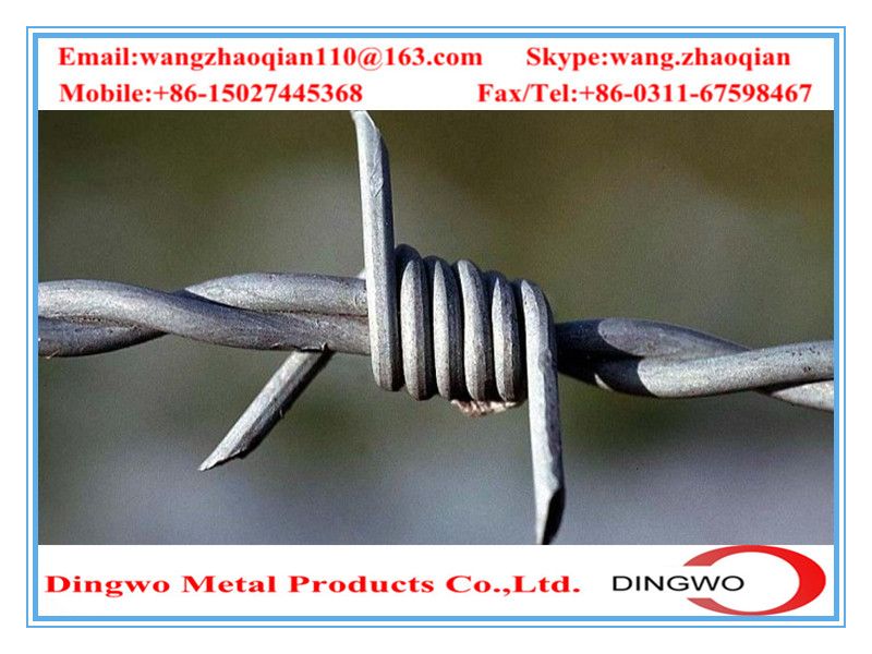 galvanized barbed wire,pvc coated wire,electrial galvanized galvanized wire,razor barbed wire,barbed razor wire