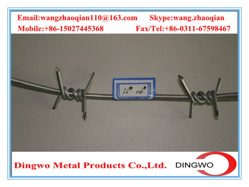 galvanized barbed wire,pvc coated wire,electrial galvanized galvanized wire,razor barbed wire,barbed razor wire