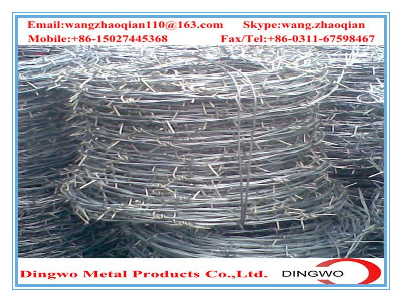 galvanized barbed wire,pvc coated wire,electrial galvanized galvanized wire,razor barbed wire,barbed razor wire