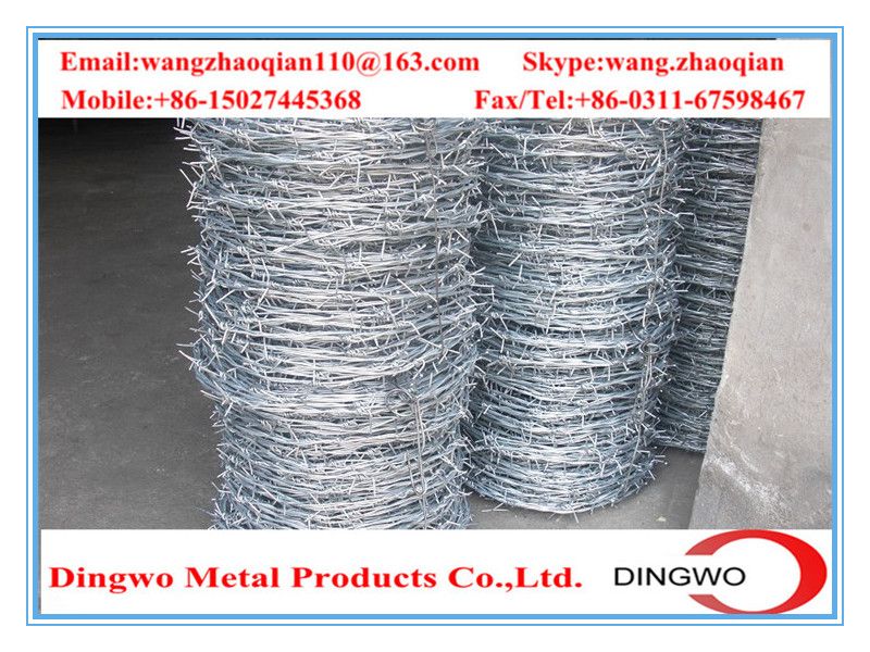 galvanized barbed wire,pvc coated wire,electrial galvanized galvanized wire,razor barbed wire,barbed razor wire