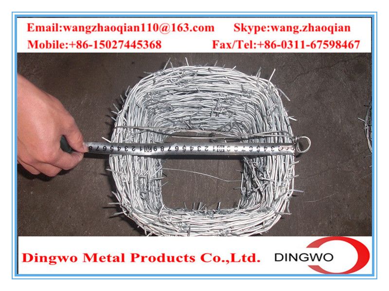 galvanized barbed wire,pvc coated wire,electrial galvanized galvanized wire,razor barbed wire,barbed razor wire