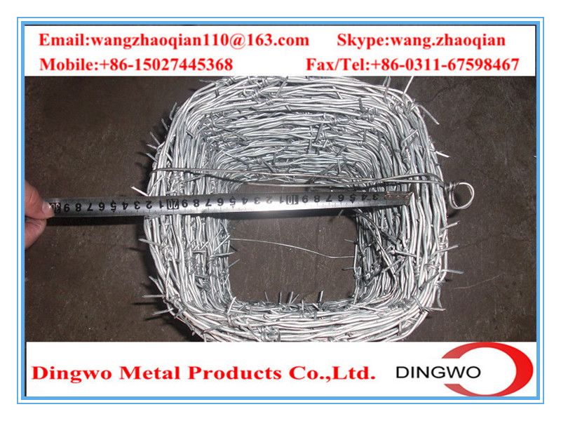 galvanized barbed wire,pvc coated wire,electrial galvanized galvanized wire,razor barbed wire,barbed razor wire