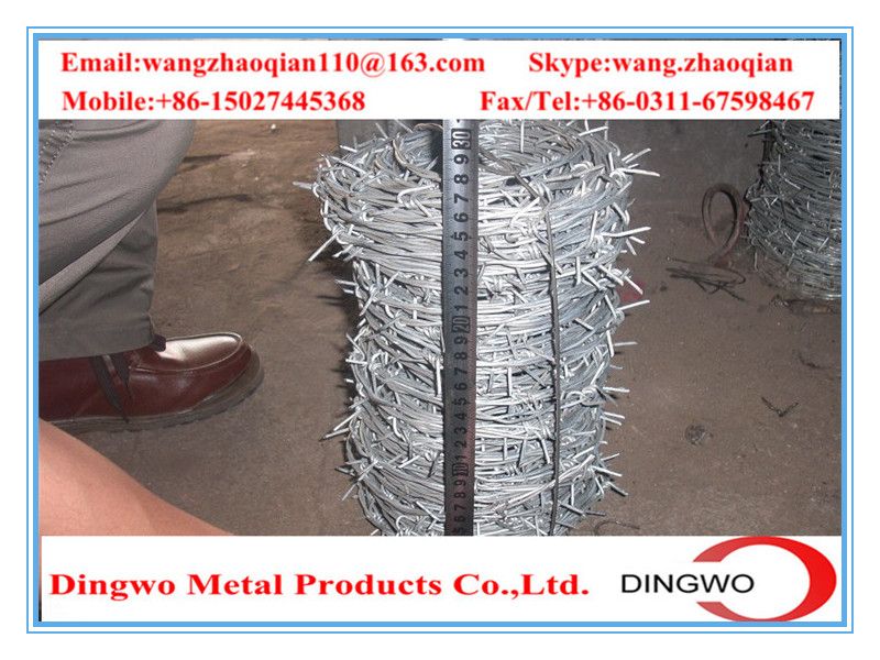 galvanized barbed wire,pvc coated wire,electrial galvanized galvanized wire,razor barbed wire,barbed razor wire