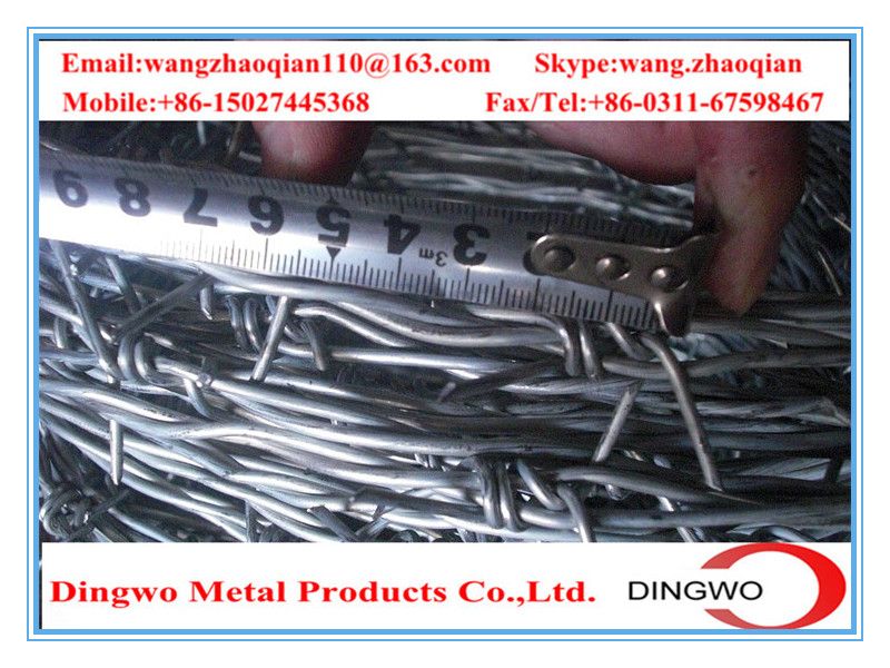 galvanized barbed wire,pvc coated wire,electrial galvanized galvanized wire,razor barbed wire,barbed razor wire