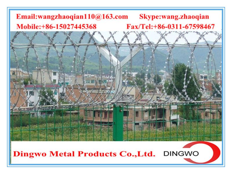 galvanized barbed wire,pvc coated wire,electrial galvanized galvanized wire,razor barbed wire,barbed razor wire