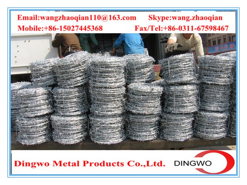 galvanized barbed wire,pvc coated wire,electrial galvanized galvanized wire,razor barbed wire,barbed razor wire