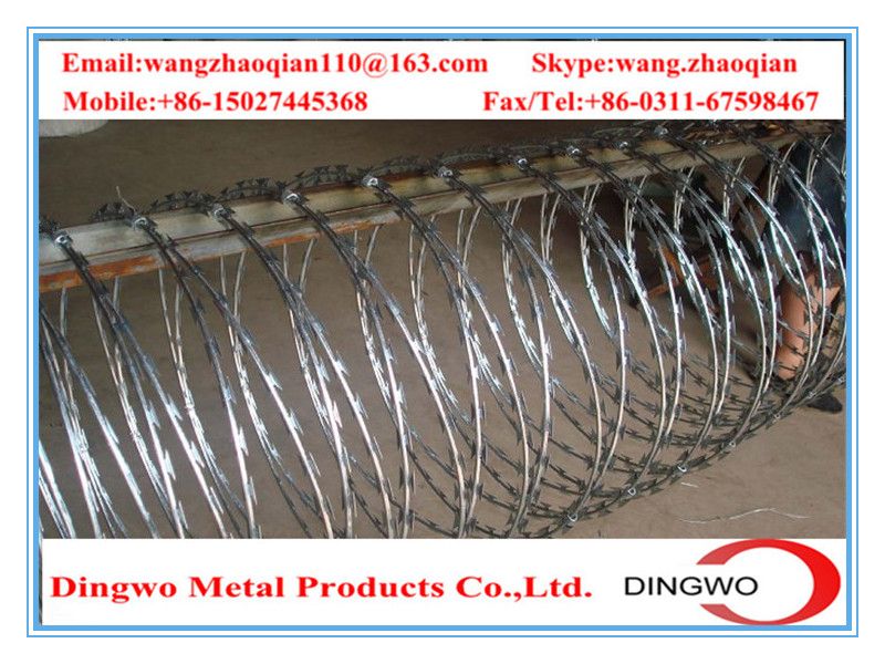 galvanized barbed wire,pvc coated wire,electrial galvanized galvanized wire,razor barbed wire,barbed razor wire