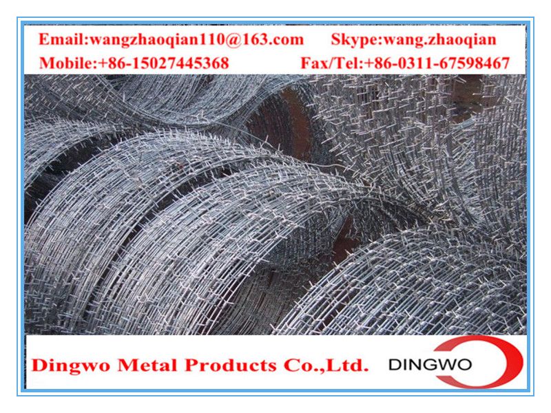 galvanized barbed wire, pvc coated wire, electrial galvanized galvanized wire, razor barbed wire, barbed razor wire
