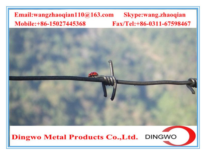 galvanized barbed wire, pvc coated wire, electrial galvanized galvanized wire, razor barbed wire, barbed razor wire