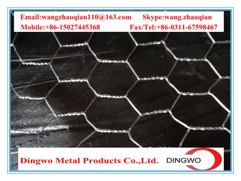 hexagonal wire mesh,chicken wire mesh,gabion mesh,weaving wire mesh,pet cages