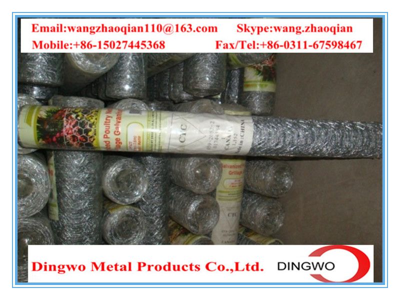 hexagonal wire mesh,chicken wire mesh,gabion mesh,weaving wire mesh,pet cages