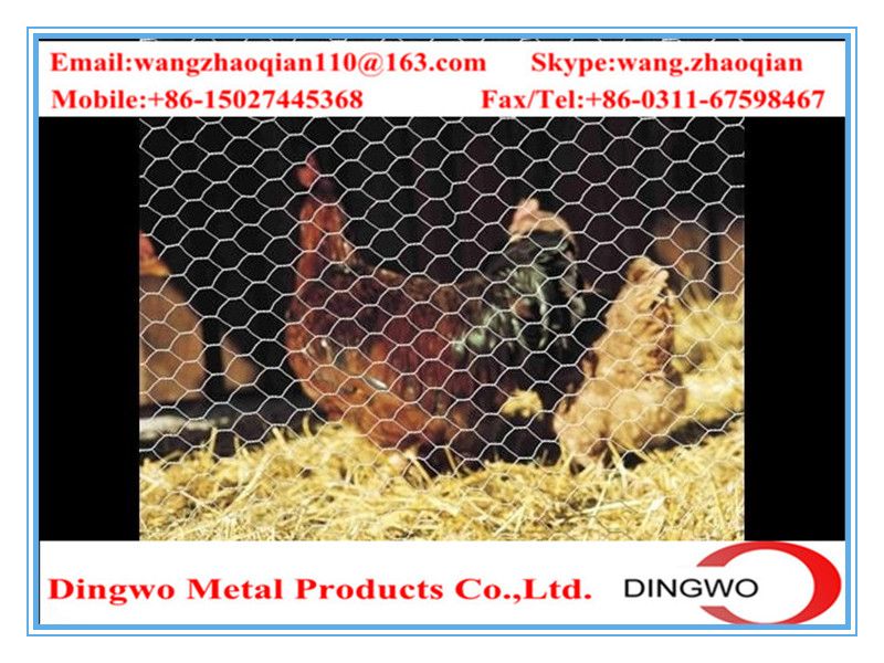 hexagonal wire mesh, chicken wire mesh, gabion mesh, weaving wire mesh, pet cages