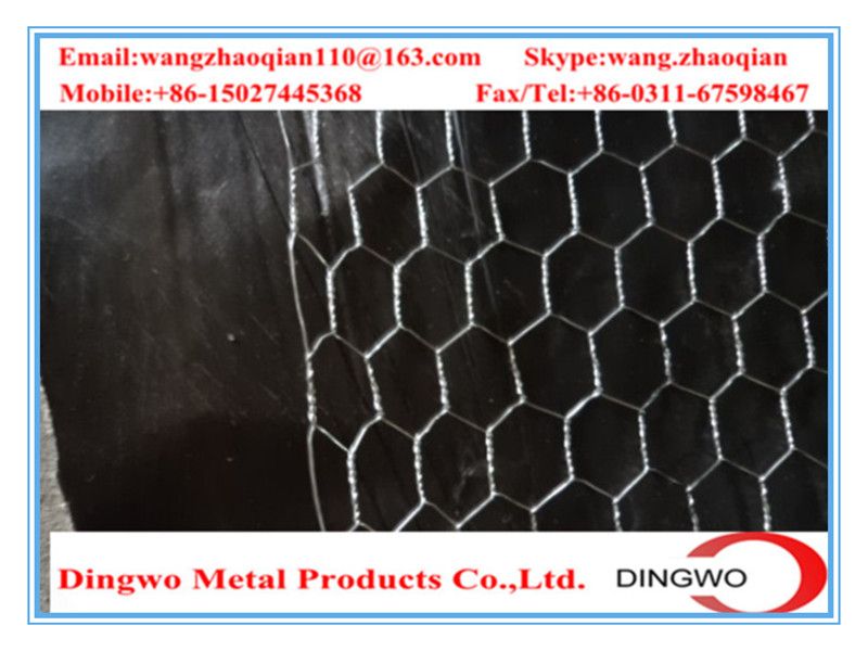 hexagonal wire mesh, chicken wire mesh, gabion mesh, weaving wire mesh, pet cages