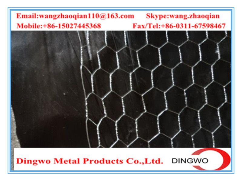 hexagonal wire mesh,chicken wire mesh,gabion mesh,weaving wire mesh,pet cages