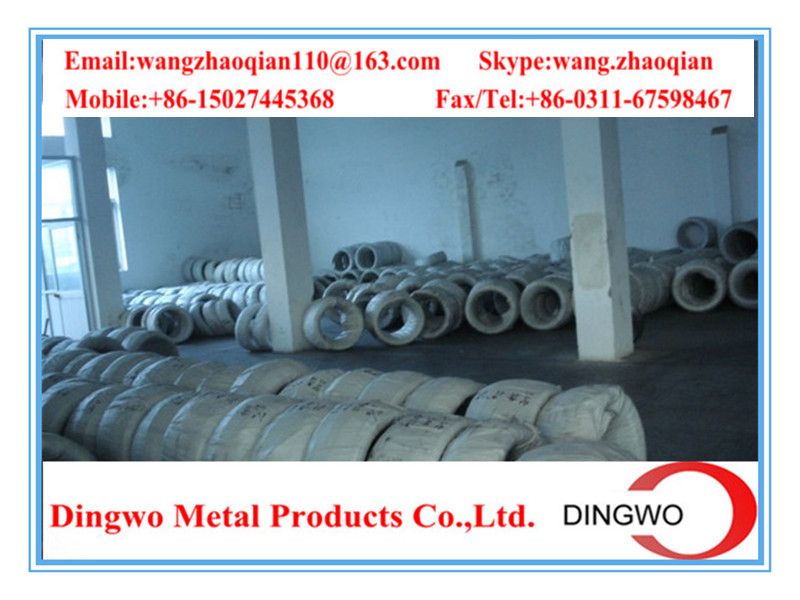 Galvanized iron wire/black wire/galvanized iron wire/electro galvanized wire/hot dip galvanized wire