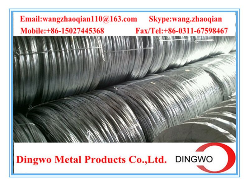 Galvanized iron wire/galvanized iron wire/electro galvanized wire/hot dip galvanized wire