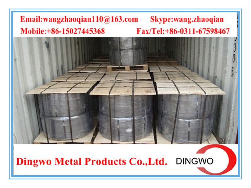 Galvanized iron wire/galvanized iron wire/electro galvanized wire/hot dip galvanized wire