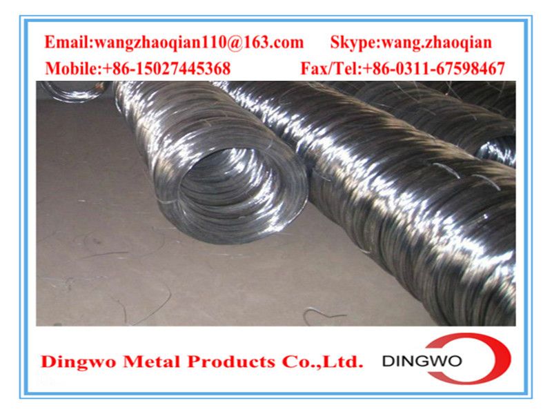 Galvanized iron wire/galvanized iron wire/electro galvanized wire/hot dip galvanized wire